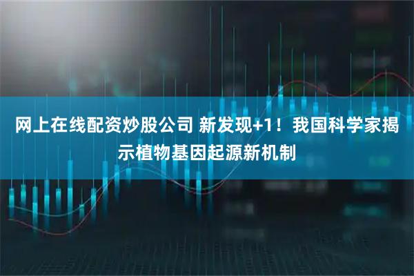 网上在线配资炒股公司 新发现+1！我国科学家揭示植物基因起源新机制